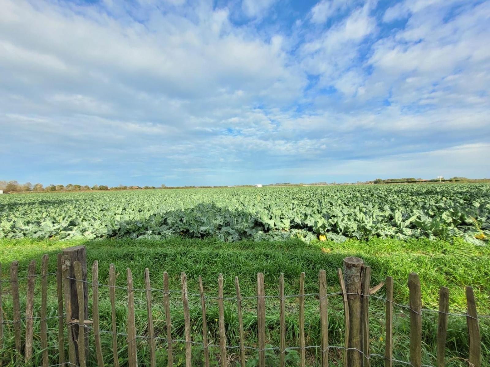 De Zeeuwse Zonnehoed Serooskerke (Walcheren)